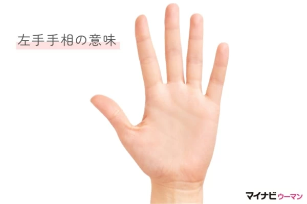 左手手相